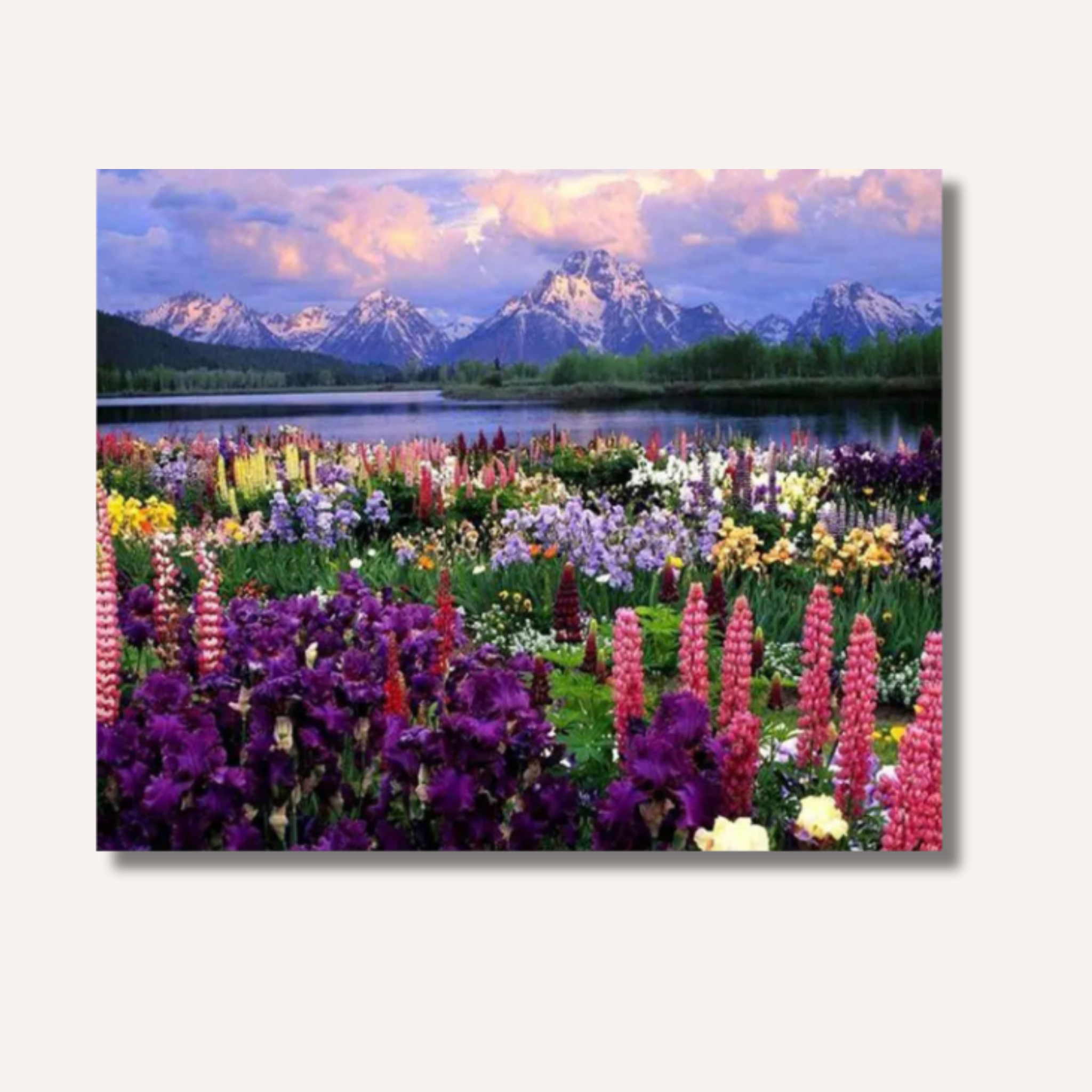 Colors of Tranquility